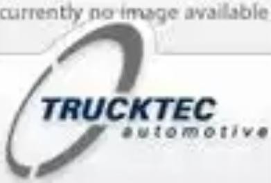 TRUCKTEC AUTOMOTIVE 01.32.184 Mutter, Achsstummel für MERCEDES-BENZ AROCS LKW in Original Qualität