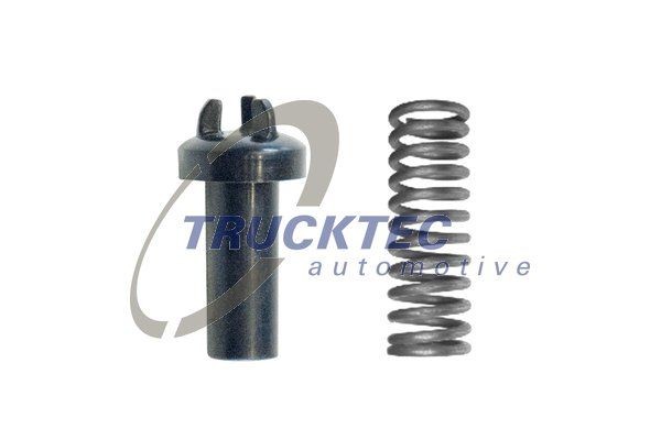 TRUCKTEC AUTOMOTIVE 01.43.163 Feder, Öldruckventil-Ölpumpe für MERCEDES-BENZ SK LKW in Original Qualität