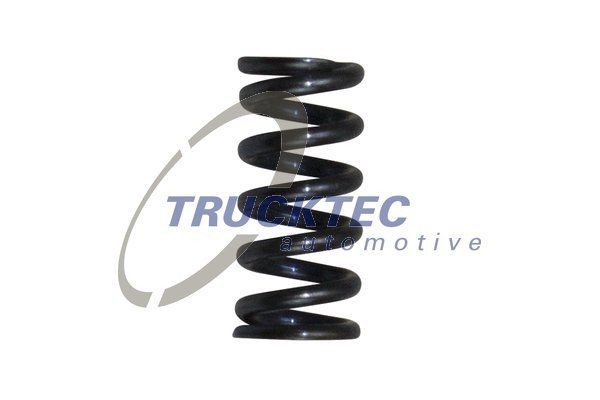 Original 01.67.082 TRUCKTEC AUTOMOTIVE Leaf spring experience and price