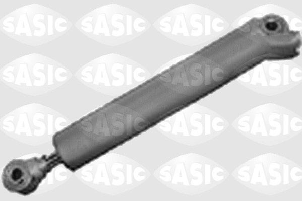 0114384 SASIC Shock absorber steering buy cheap