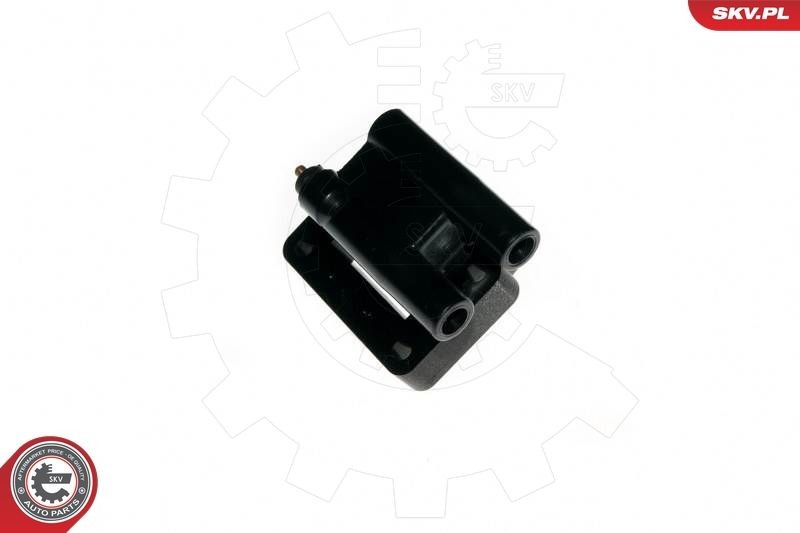 ESEN SKV 2-pin connector, 12V, Electric Number of pins: 2-pin connector Coil pack 03SKV147 buy
