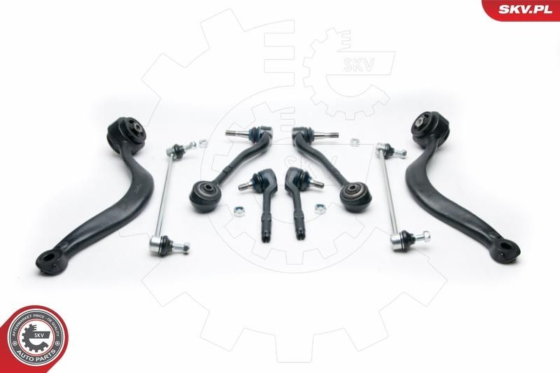 ESEN SKV Control arm replacement kit 04SKV260 for BMW X5 E53