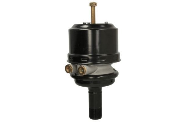 SBP 05-BCT16/24-M48X2 Vorspannzylinder für IVECO EuroTech MH LKW in Original Qualität