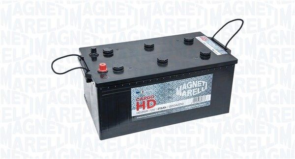069215120042 MAGNETI MARELLI Batterie für ASKAM (FARGO/DESOTO) online bestellen
