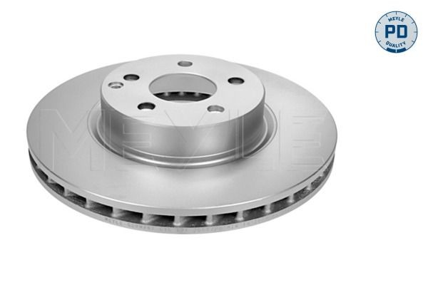 Mercedes E-Class Brake discs and rotors 8702936 MEYLE 083 521 2053/PD online buy