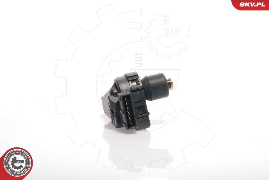 ESEN SKV Electric Number of pins: 6-pin connector Idle Control Valve, air supply 08SKV201 buy