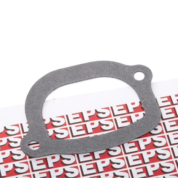 EPS 1.890.505 Thermostat gasket FIAT MAREA 1996 in original quality