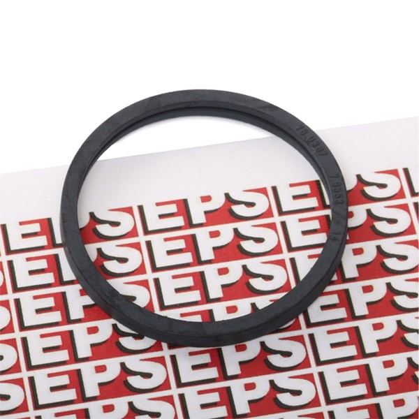 EPS 1.890.553 Gasket, thermostat Made in Italy - OE Equivalent