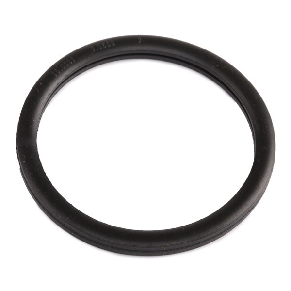 EPS Gasket, thermostat 1.890.568