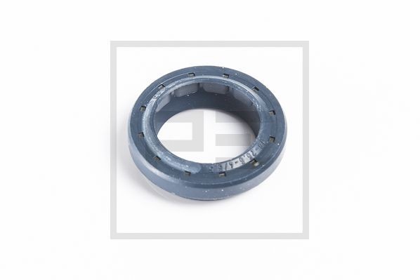 PETERS ENNEPETAL 100.438-00A Shaft Oil Seal 1622224