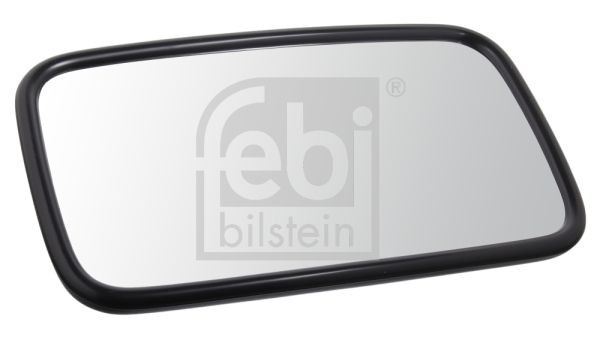 FEBI BILSTEIN 100032 Outside Mirror, driver cab FORD experience and price