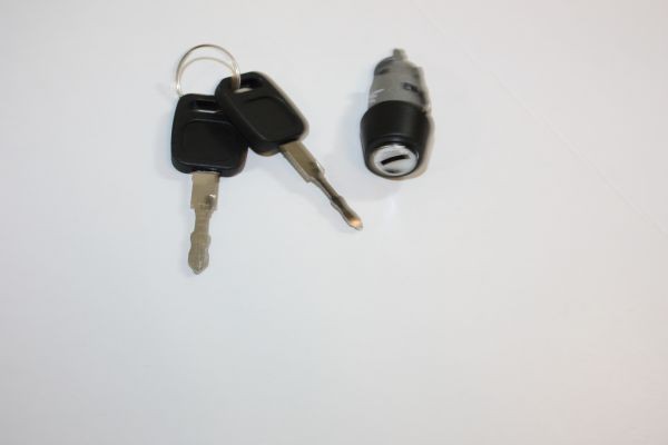 Audi Lock Cylinder, ignition lock AUTOMEGA 100035310 at a good price