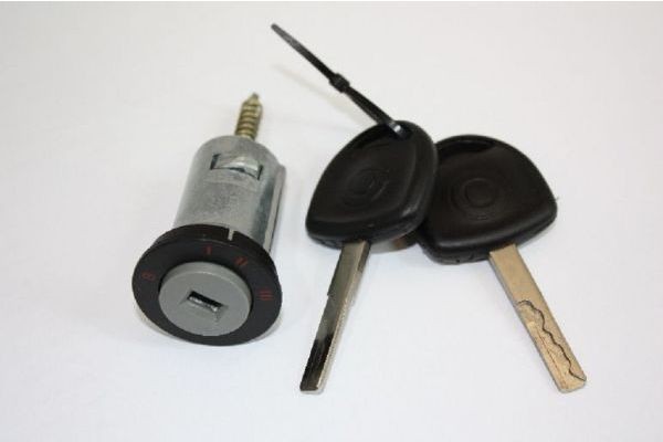 AUTOMEGA 100082510 Lock Cylinder, ignition lock