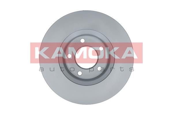 KAMOKA Brake rotors 103269 for Chrysler Voyager rg