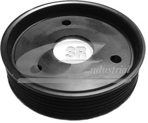 3RG 10604 Crankshaft pulley RENAULT experience and price