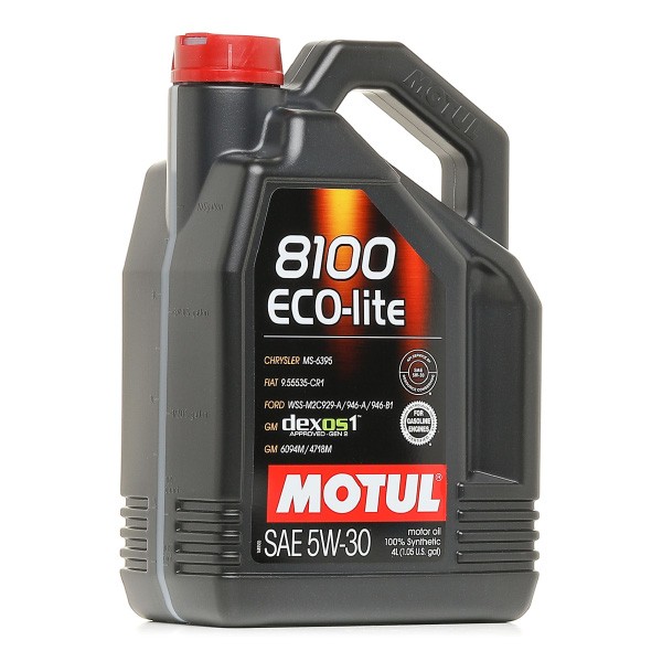 107251 Motor oil MOTUL 17201. review and test