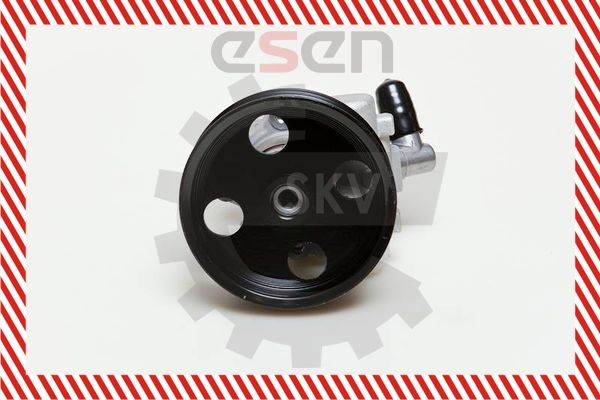 ESEN SKV 120 bar, 80 l/h, Clockwise rotation Steering Pump 10SKV039 buy