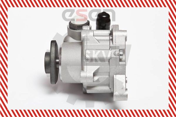 ESEN SKV Hydraulic steering pump 10SKV043 suitable for MERCEDES-BENZ ML-Class, S-Class