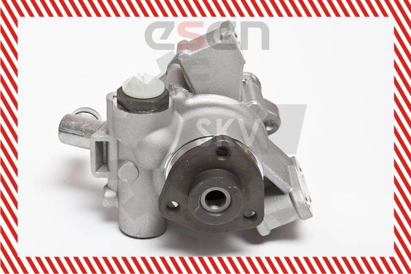 ESEN SKV 10SKV044 Steering pump Mercedes Vito W638 108 CDI 2.2 82 hp Diesel 2001 price