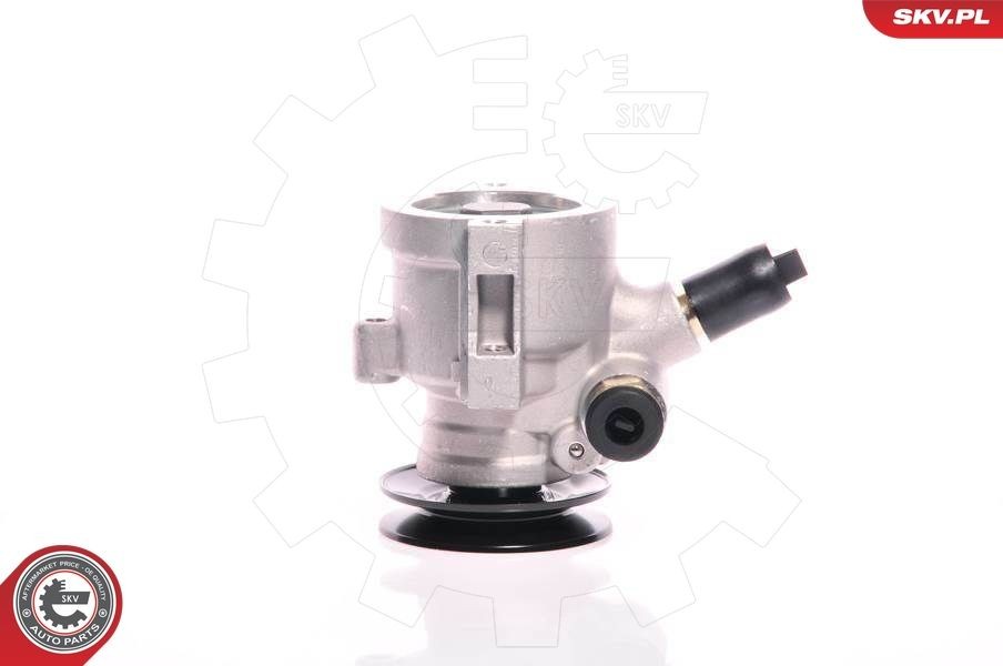 ESEN SKV 100 bar, 60 l/h, Clockwise rotation Steering Pump 10SKV118 buy