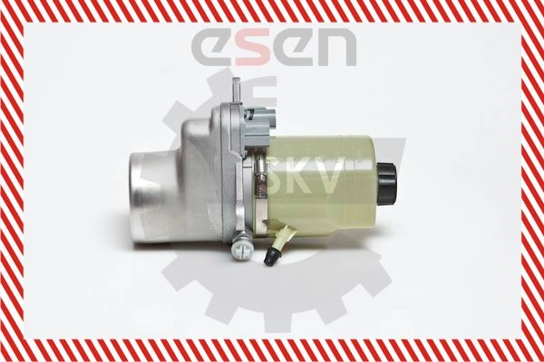 ESEN SKV 10SKV135 Power steering pump 1709121