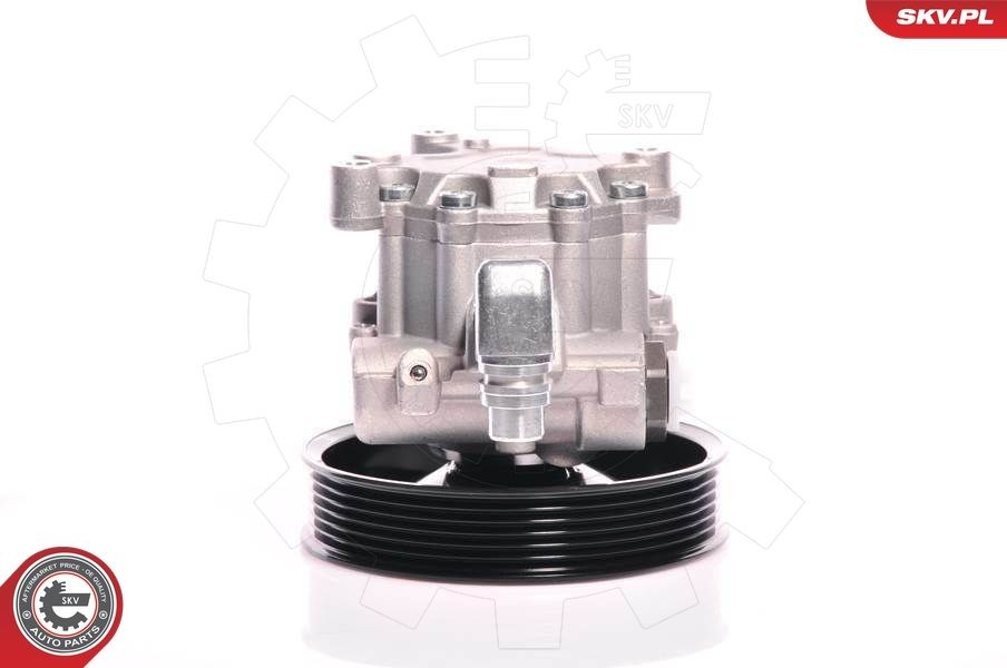 ESEN SKV Hydraulic steering pump 10SKV140 suitable for MERCEDES-BENZ C-Class, ML-Class