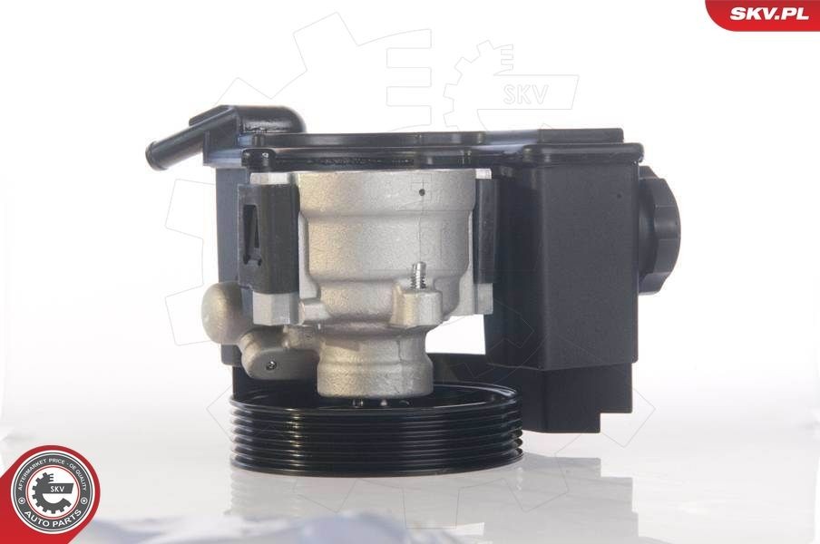 ESEN SKV 10SKV171 Power steering pump 100 bar, Belt Pulley Ø: 115 mm, 60 l/h, Clockwise rotation, with expansion tank