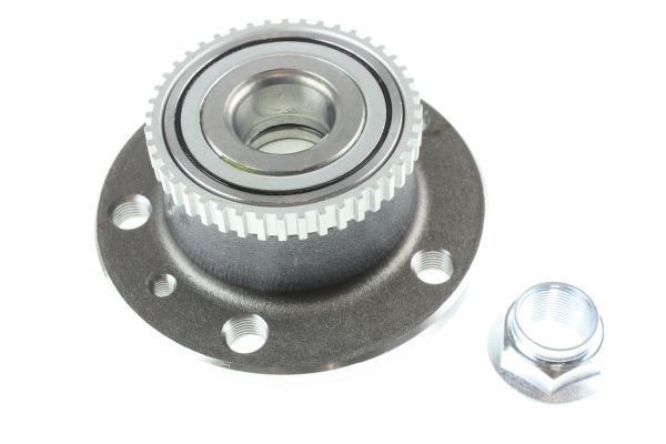 AUTOMEGA 110102010 Wheel bearing kit