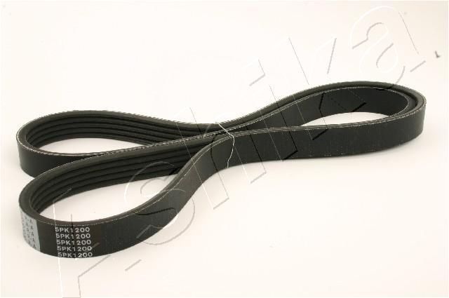 Original ASHIKA Poly V-belt 112-5PK1200 for NISSAN MICRA