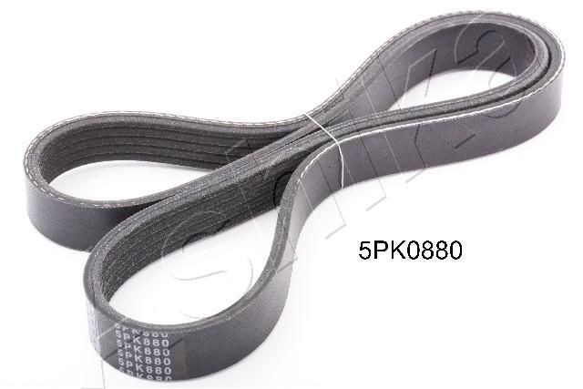 112-5PK880 ASHIKA Alternator belt SUBARU 880mm, 5