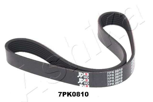 ASHIKA 810mm, 7 Number of ribs: 7, Length: 810mm Alternator belt 112-7PK810 buy