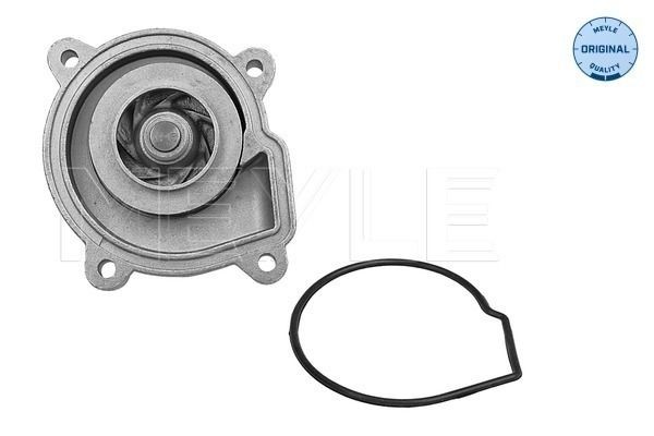 Vw Polo Vivo Belts, chains, rollers parts - Water pump MEYLE 113 220 0004