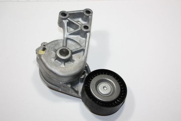 AUTOMEGA 130015710 Tensioner pulley 038903315AE