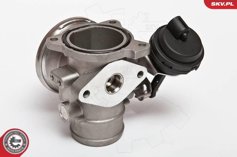 14SKV020 Exhaust gas recirculation valve ESEN SKV 14SKV020 review and test