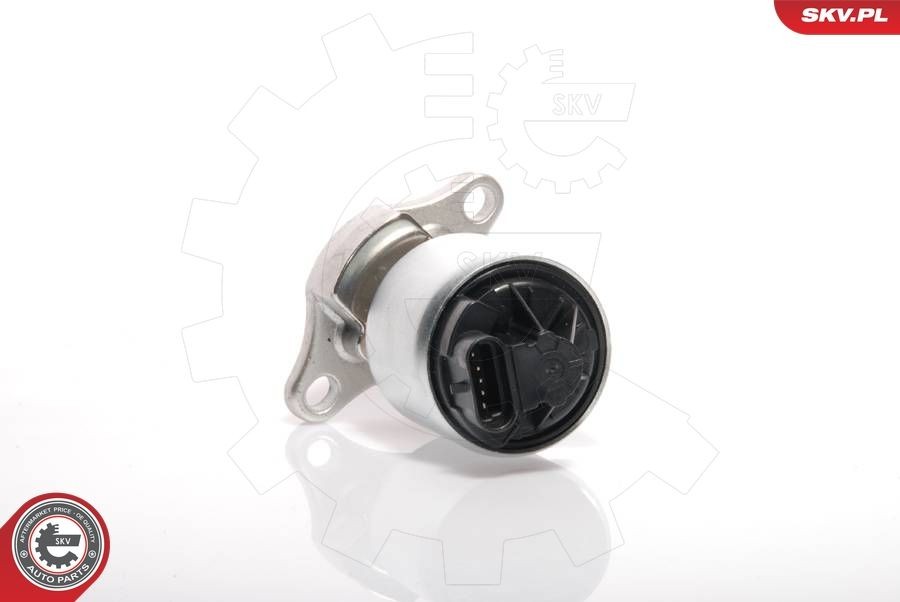ESEN SKV Electric Number of pins: 5-pin connector Exhaust gas recirculation valve 14SKV035 buy