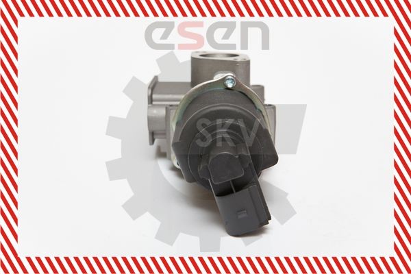 14SKV064 Exhaust gas recirculation valve ESEN SKV 14SKV064 review and test