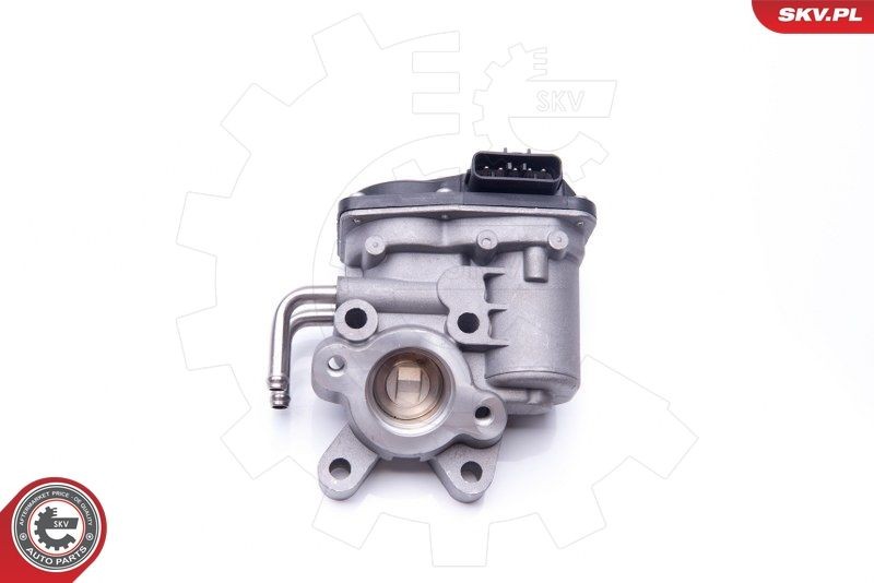 Nissan PATROL EGR valve ESEN SKV 14SKV102 cheap