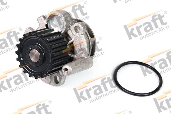 KRAFT 1500297 Water pumps Passat 3B6 1.9 TDI 101 hp Diesel 2004 price