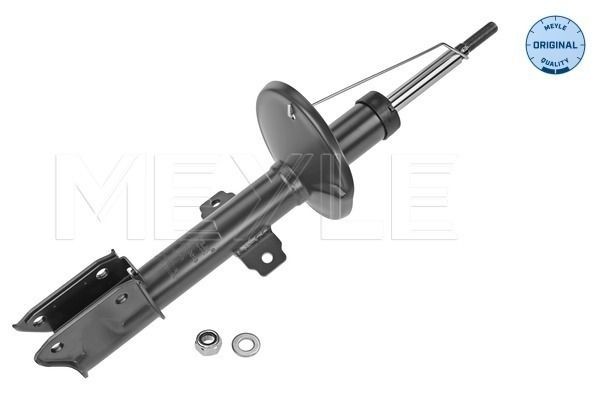 JP GROUP New Shock Absorber Front Fits DACIA Duster 8200813791