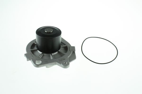 Water pump AUTOMEGA with seal, Belt Pulley Ø: 48 mm - 160013210