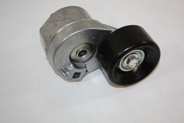 AUTOMEGA 160029010 Tensioner pulley 1 116 379
