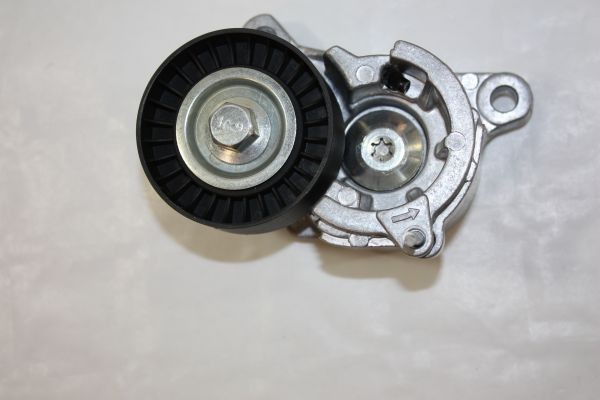 305751061 AUTOMEGA 160081010 Tensioner pulley 96362074