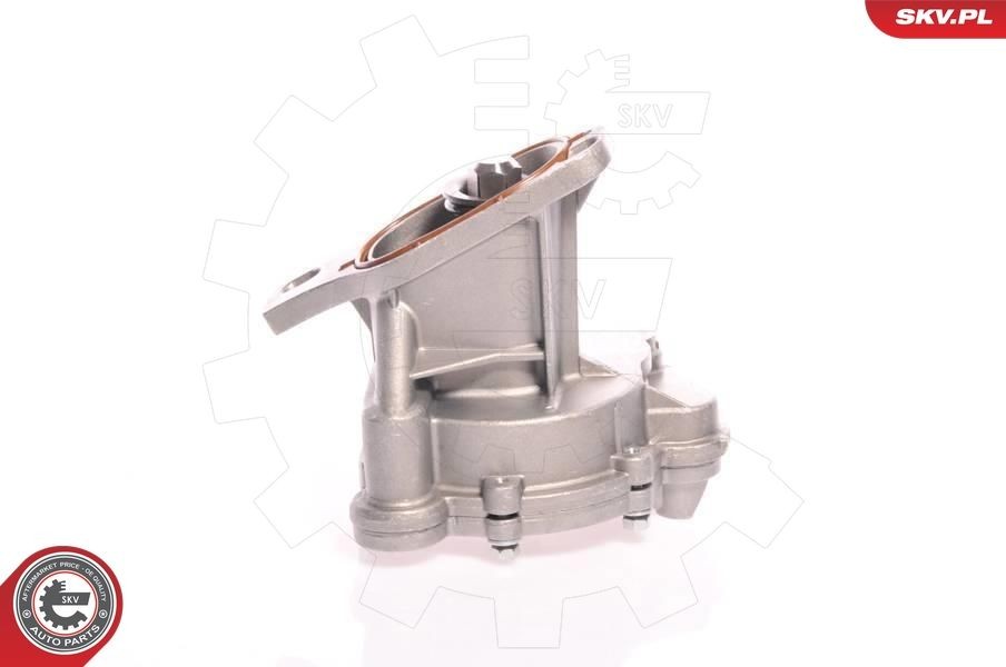 ESEN SKV Brake booster vacuum pump 18SKV006 buy