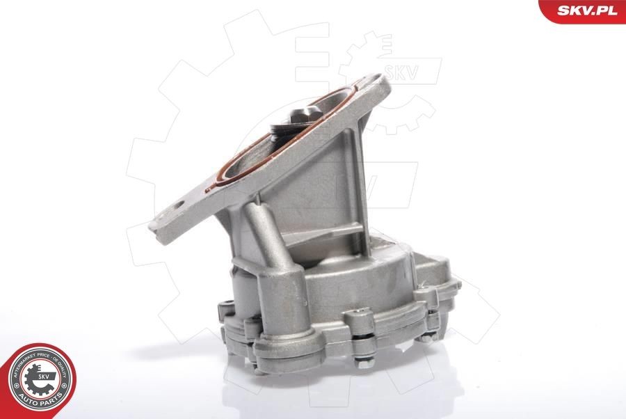 ESEN SKV Vacuum pump for brake system 18SKV009