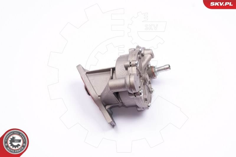 ESEN SKV 18SKV013 Brake vacuum pump