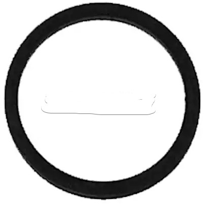 AUTOMEGA 190019620 Seal Ring, injector