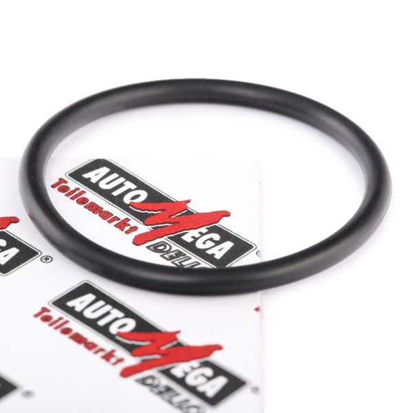 Thermostat gasket for VW Lupo 6x1 1.4 16V 75 hp Petrol 55 kW 1998 - 2005  AUA ▷ AUTODOC