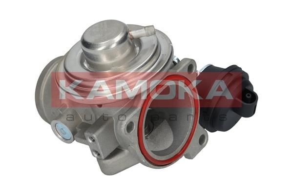 Nissan NV400 EGR valve KAMOKA 19024 cheap