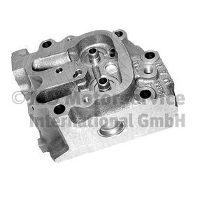 BF Grey Cast Iron, with valve guides, with valve seats Cylinder Head 20080228666 buy