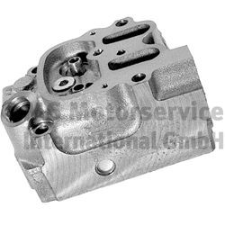 BF 20080344010 Cylinder Head Grey Cast Iron, with valve guides, with valve seats, 128 mm